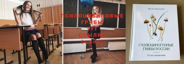 дживик Баксан